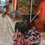 Balat Historical House *