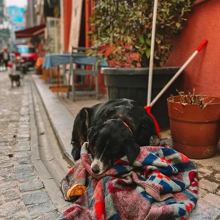 Balat Historical House *